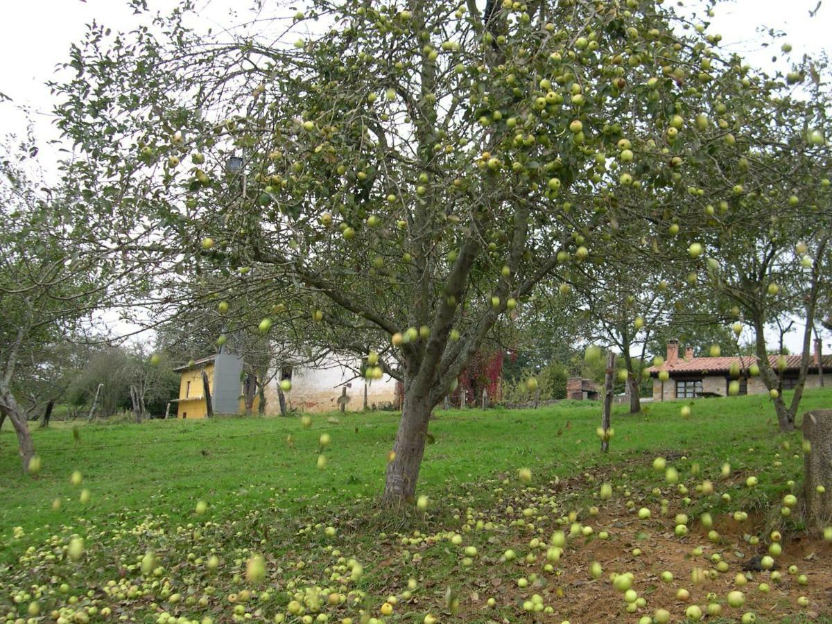 Turismo Rural El Sidron Guest House Pilona Luaran gambar